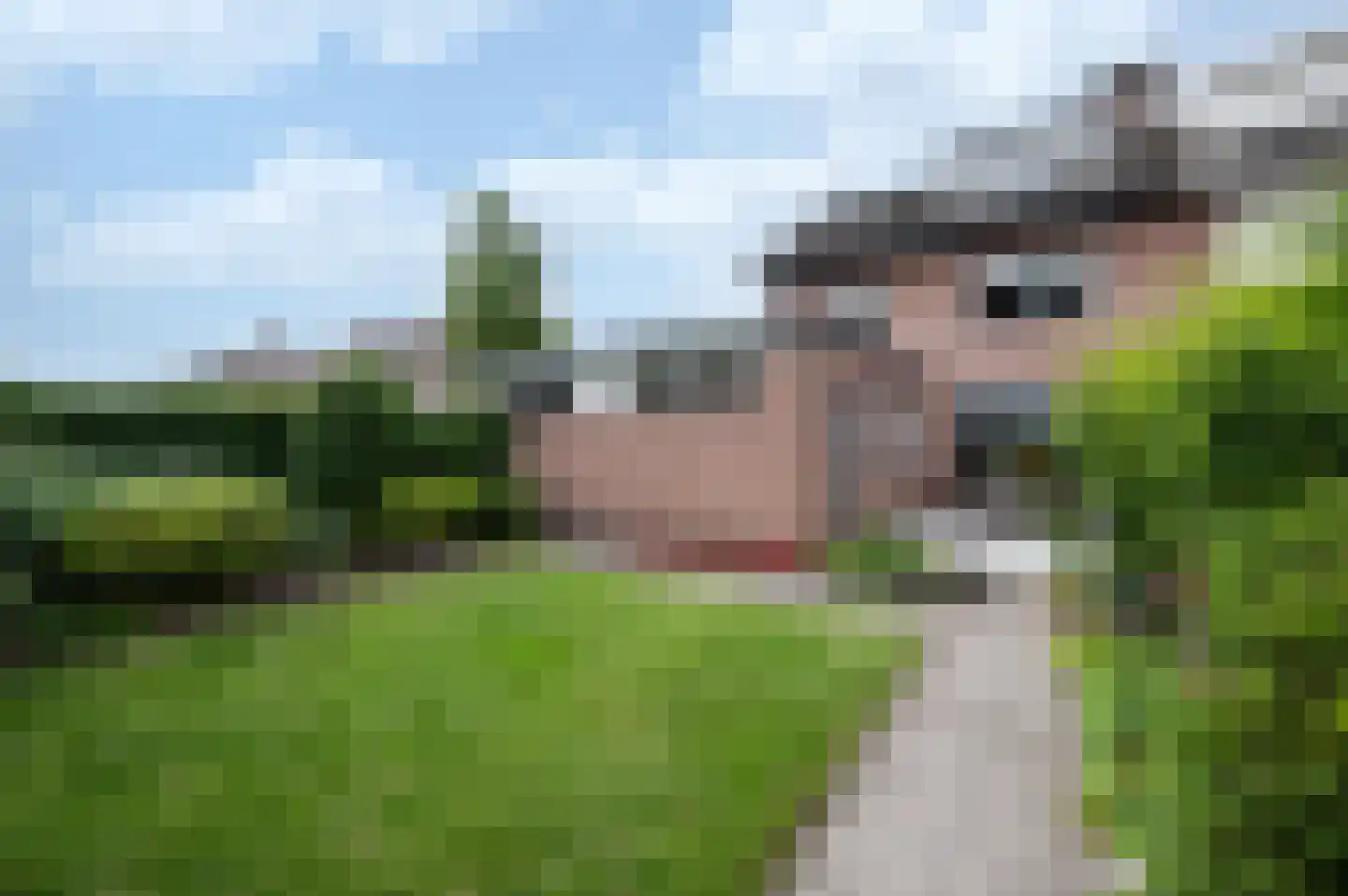 Chris Mollaan 21 Etten-Leur thumbnail 24