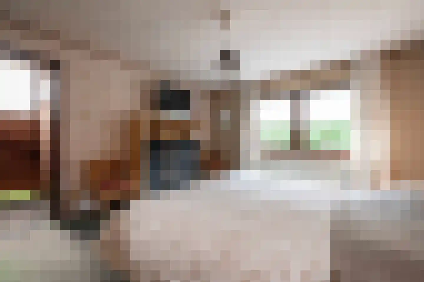 Chris Mollaan 21 Etten-Leur thumbnail 33