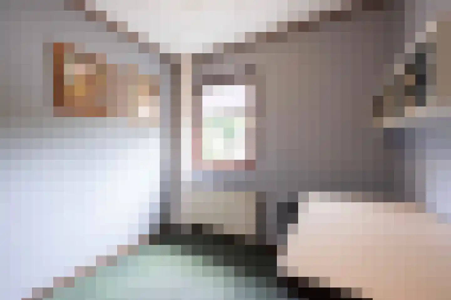 Chris Mollaan 21 Etten-Leur thumbnail 43