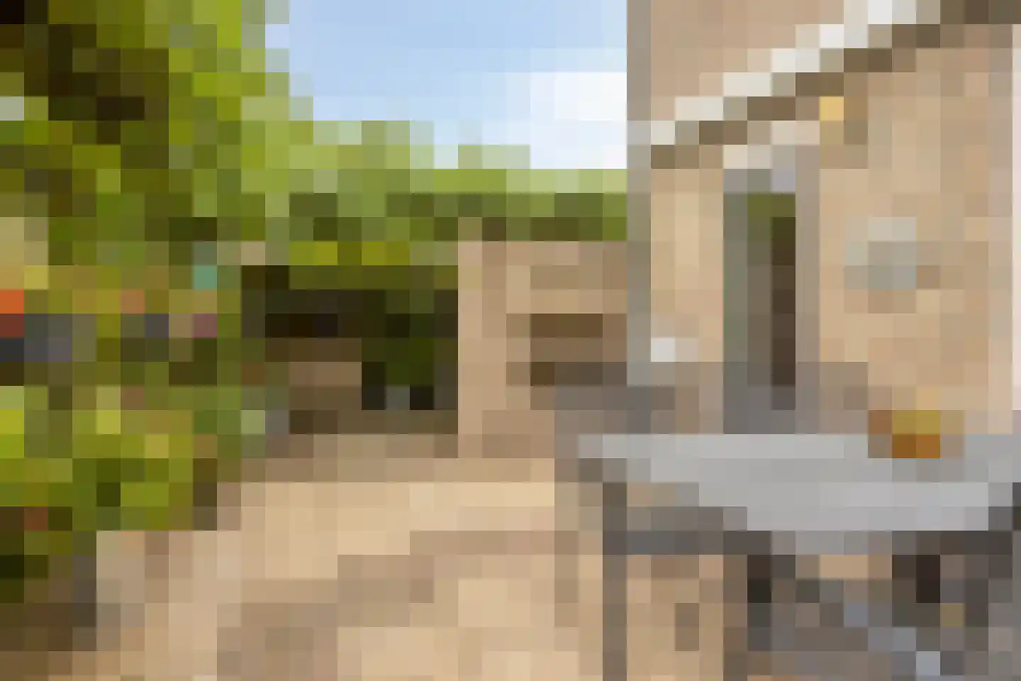 Chris Mollaan 22 Etten-Leur thumbnail 33