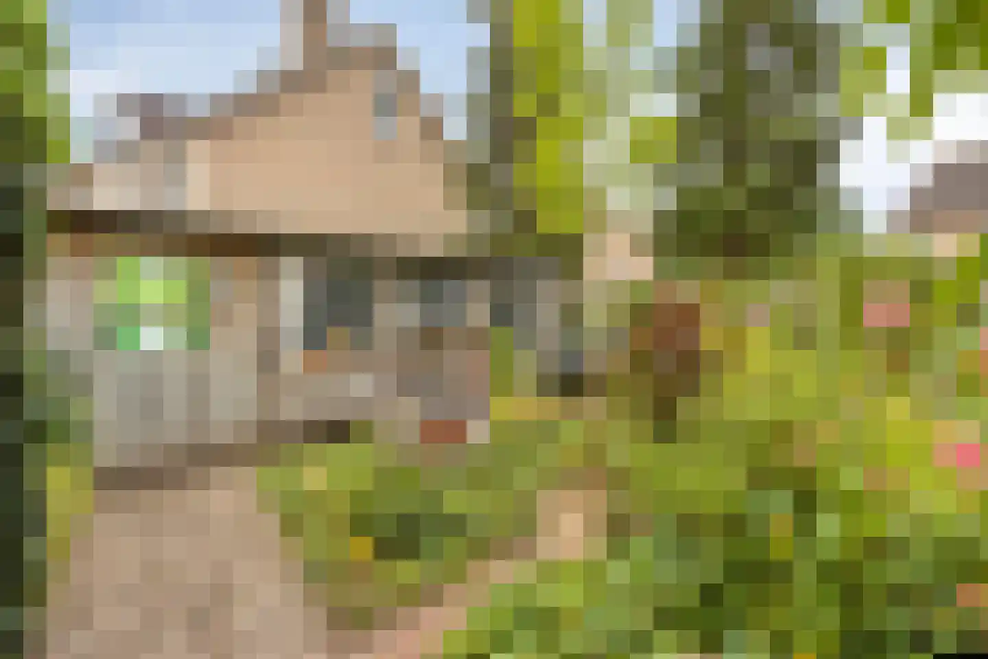 Chris Mollaan 22 Etten-Leur thumbnail 34