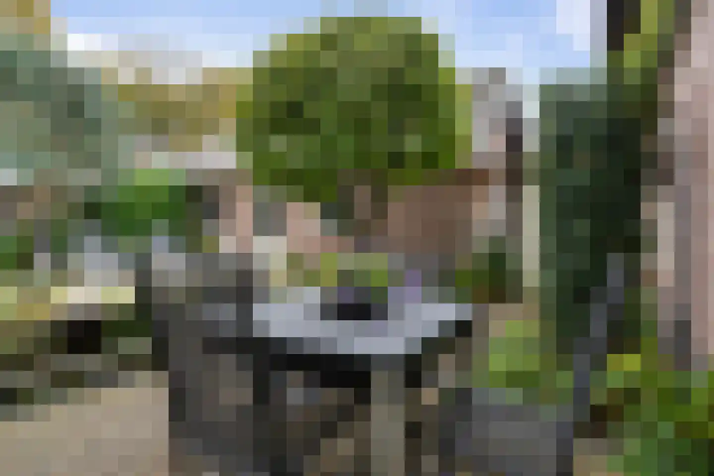 Chris Mollaan 5 Etten-Leur thumbnail 4