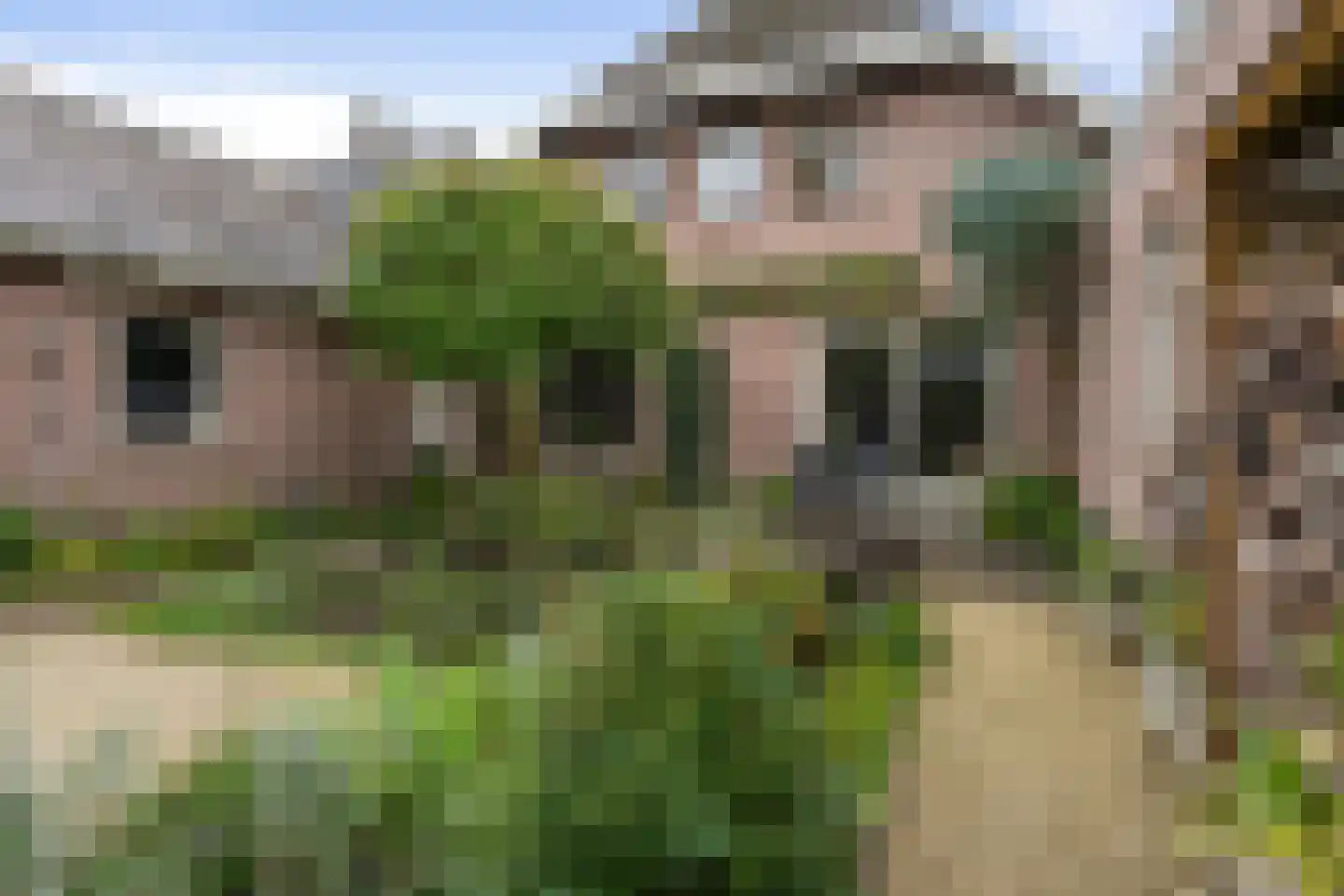 Chris Mollaan 5 Etten-Leur thumbnail 49