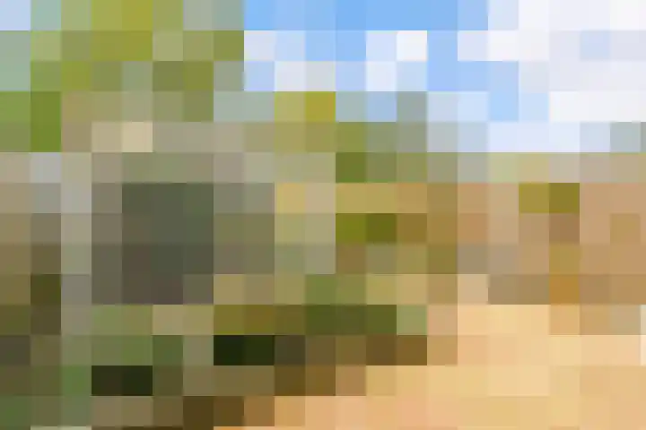 Capture d'écran du site web de www.chrisoostingmakelaardij.nl