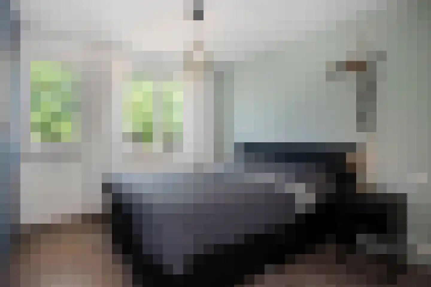 Chris Plitscherlaan 23 Susteren thumbnail 25