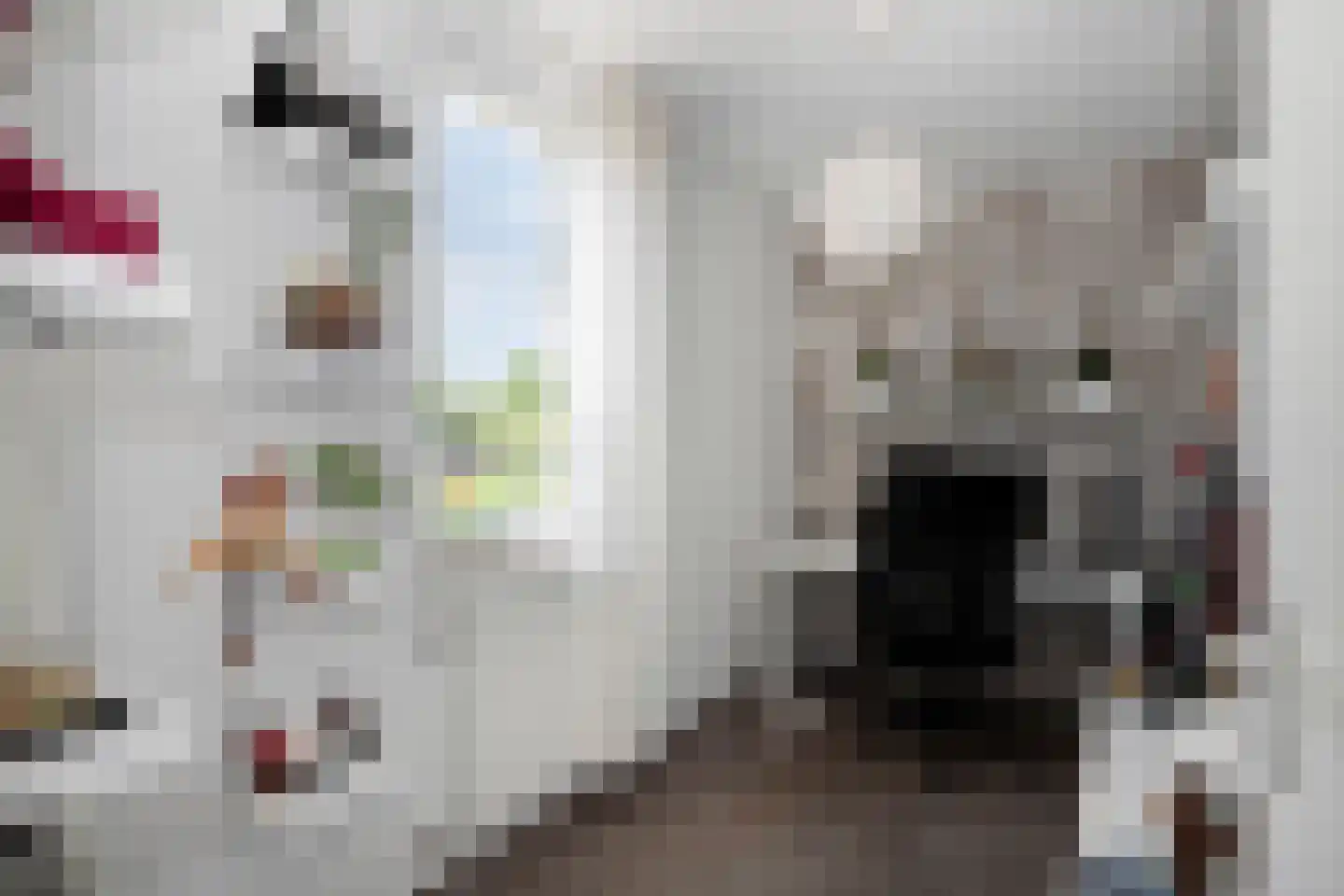 Chris Plitscherlaan 23 Susteren thumbnail 29