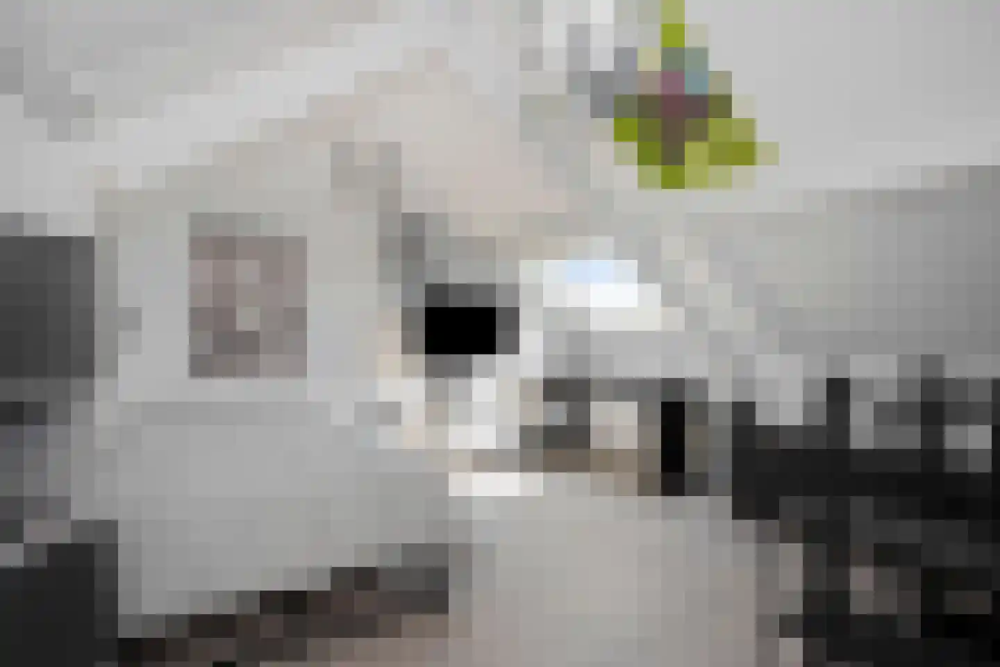 Chris Plitscherlaan 23 Susteren thumbnail 35