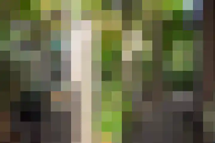 Chris Schutweg 14 Loenen aan de Vecht thumbnail 60
