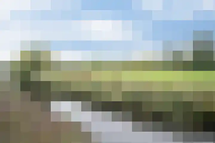 Chris Schutweg 14 Loenen aan de Vecht thumbnail 67