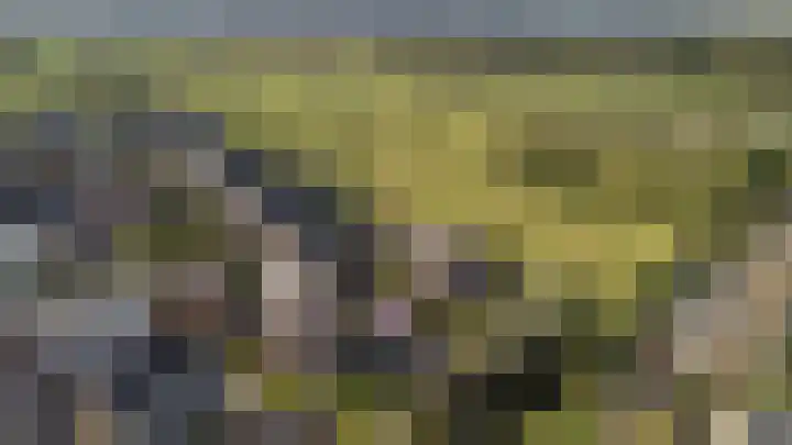 Chris Schutweg 14 Loenen aan de Vecht thumbnail 68