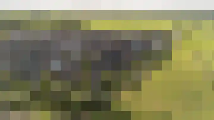 Chris Schutweg 14 Loenen aan de Vecht thumbnail 69