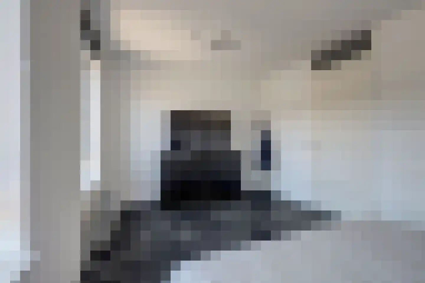 Chris van Abkoudehof 28 Rotterdam thumbnail 26