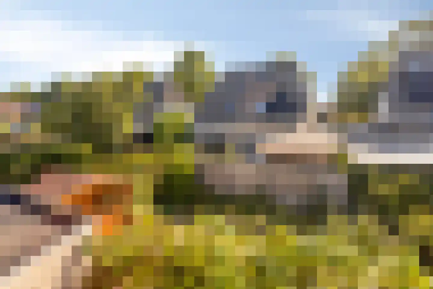 Chris Vermeulenhof 10 Kampen thumbnail 32