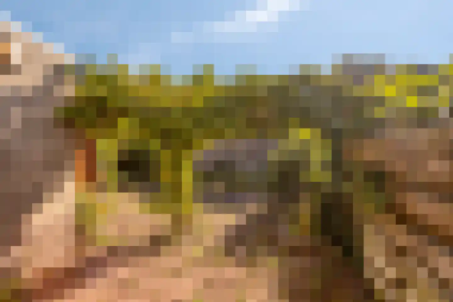 Chris Vermeulenhof 10 Kampen thumbnail 33