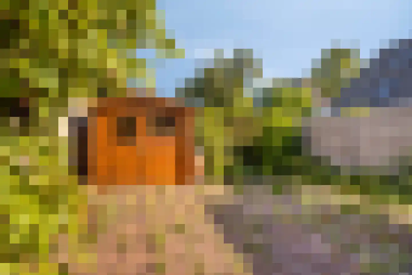 Chris Vermeulenhof 10 Kampen thumbnail 34
