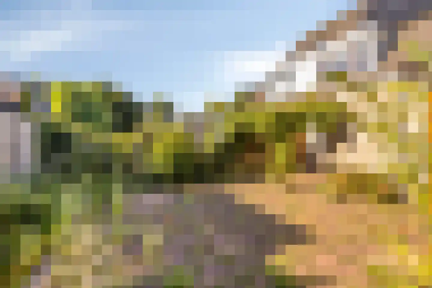 Chris Vermeulenhof 10 Kampen thumbnail 35