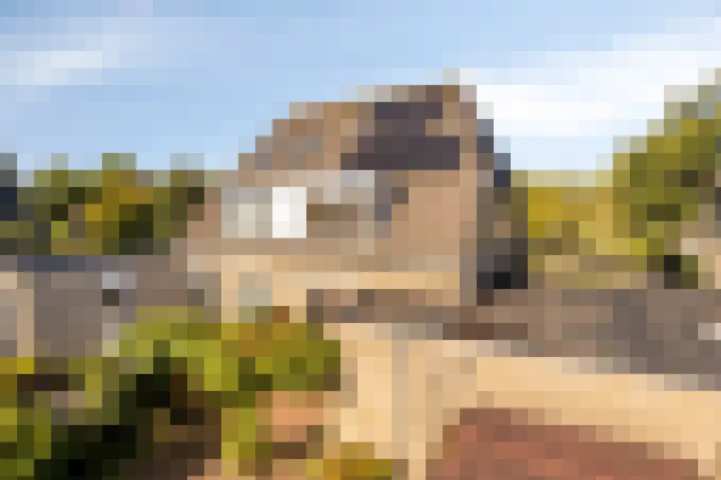 Chris Vermeulenhof 10 Kampen thumbnail 36