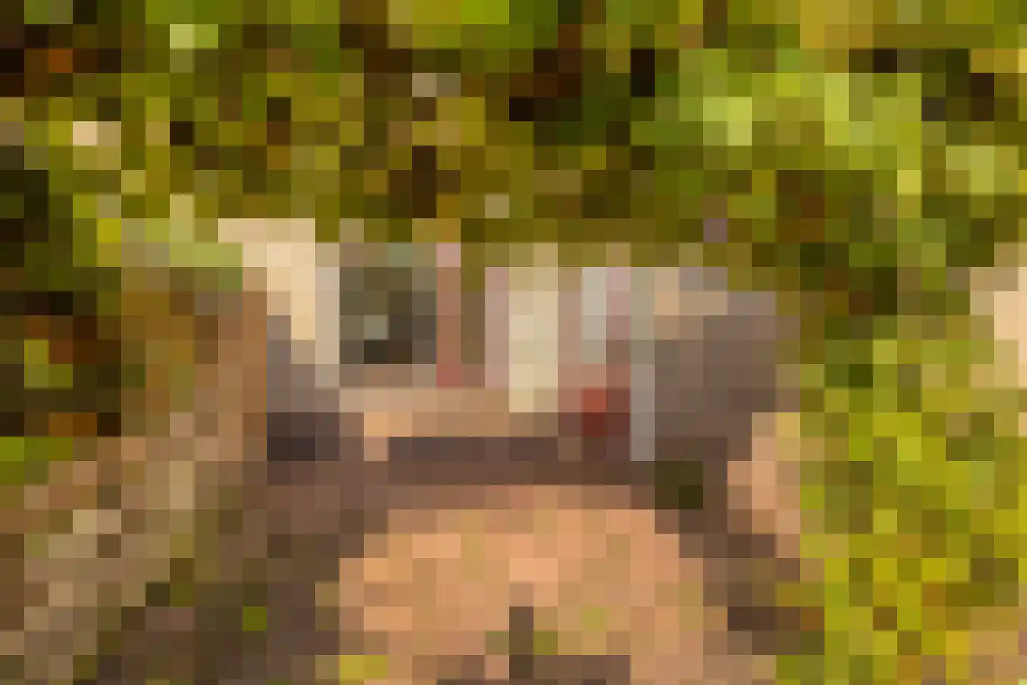 Chris Vermeulenhof 10 Kampen thumbnail 39
