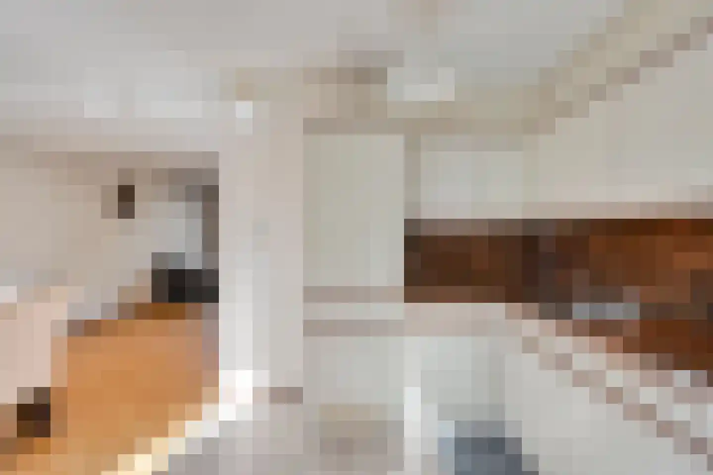 Chris Vermeulenhof 10 Kampen thumbnail 4