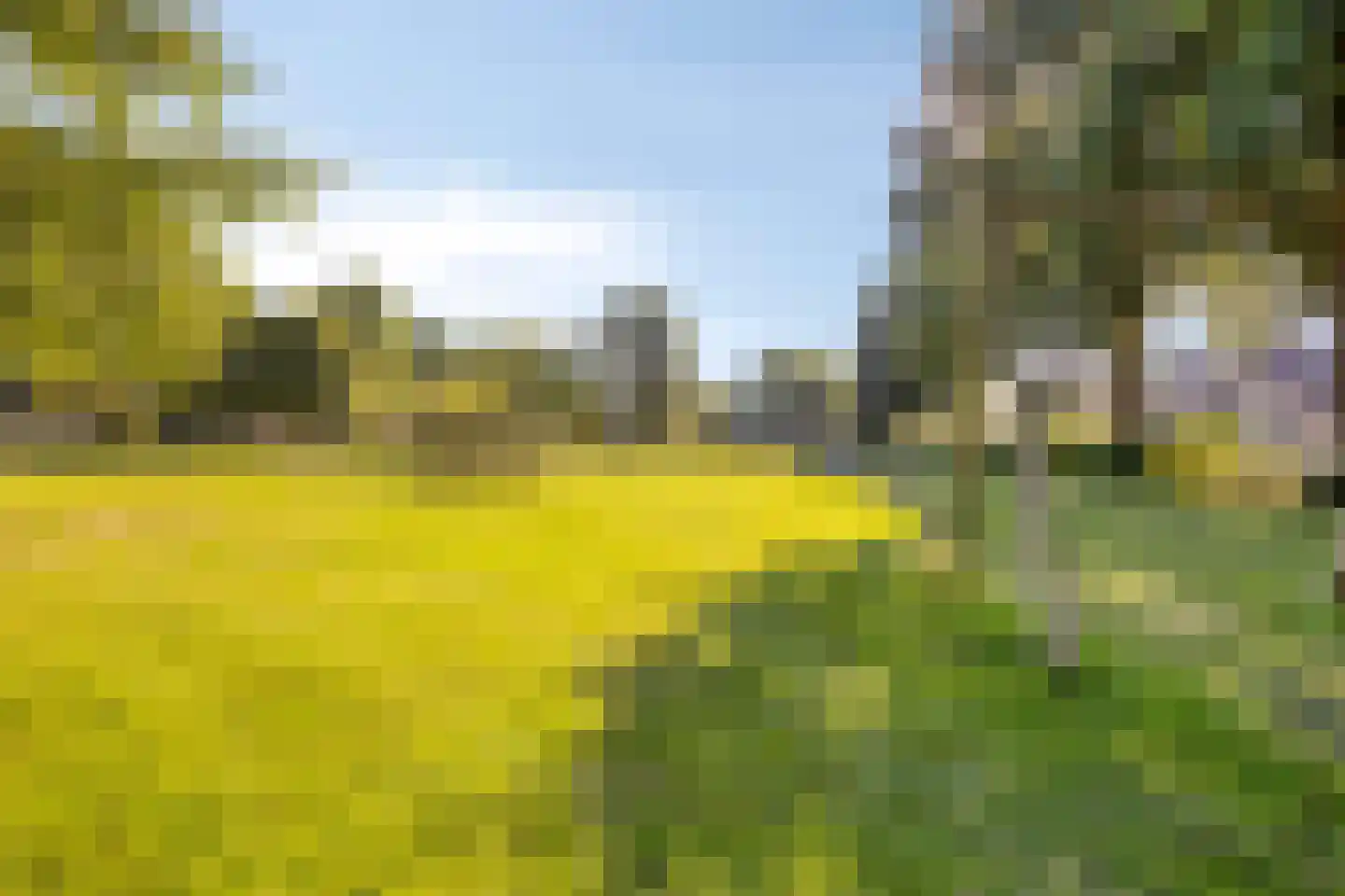 Chris Vermeulenhof 10 Kampen thumbnail 40