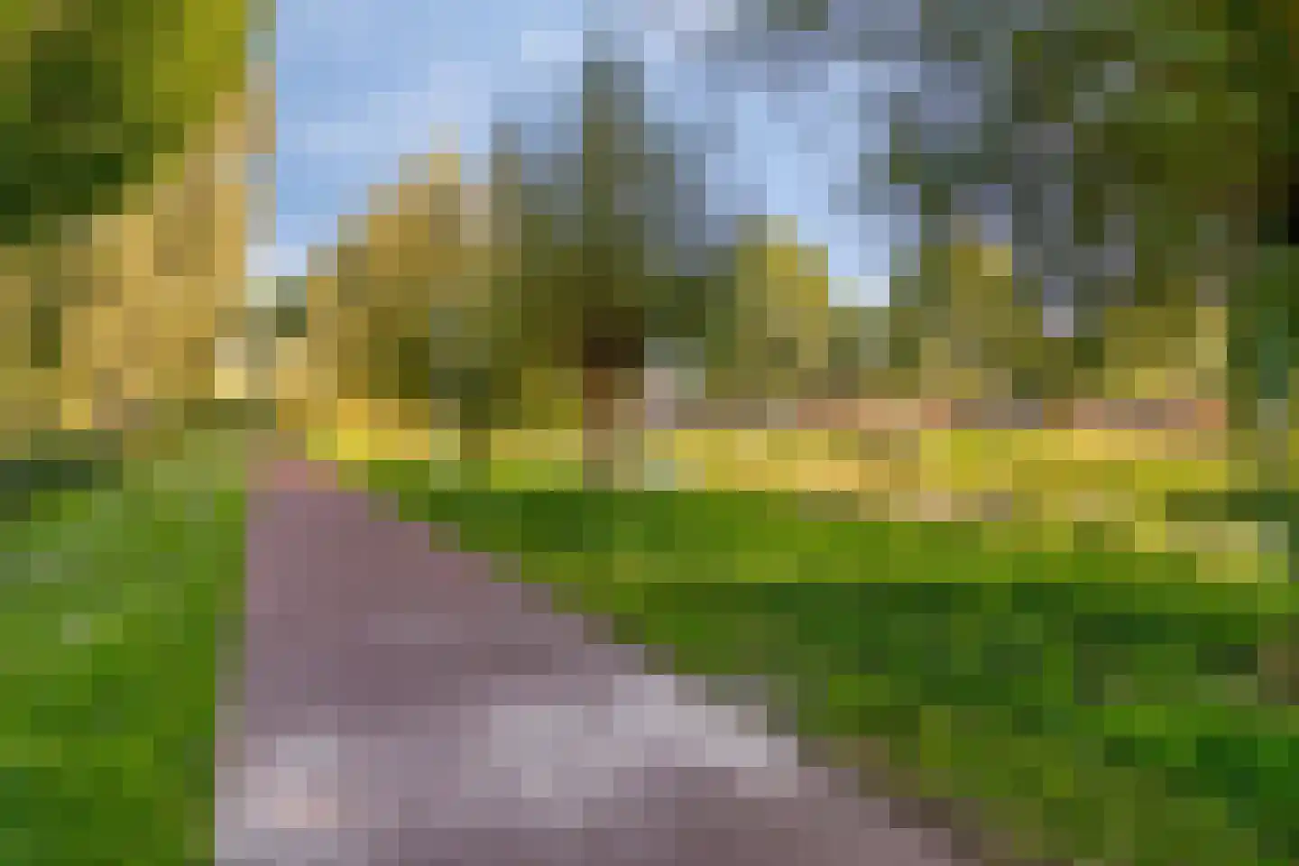Chris Vermeulenhof 10 Kampen thumbnail 42