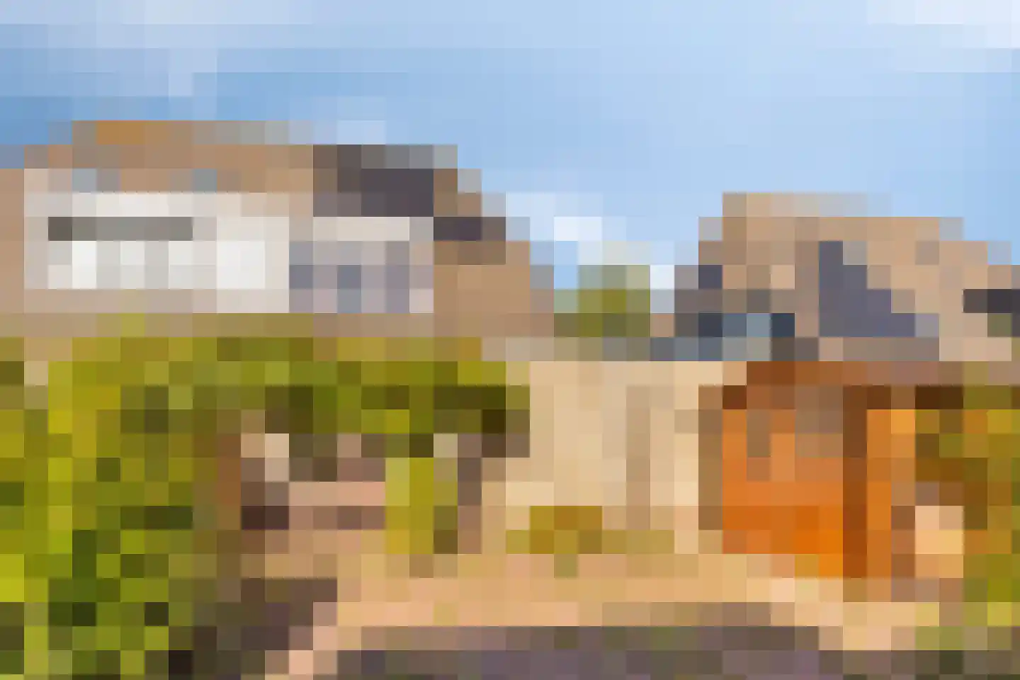 Chris Vermeulenhof 10 Kampen thumbnail 6