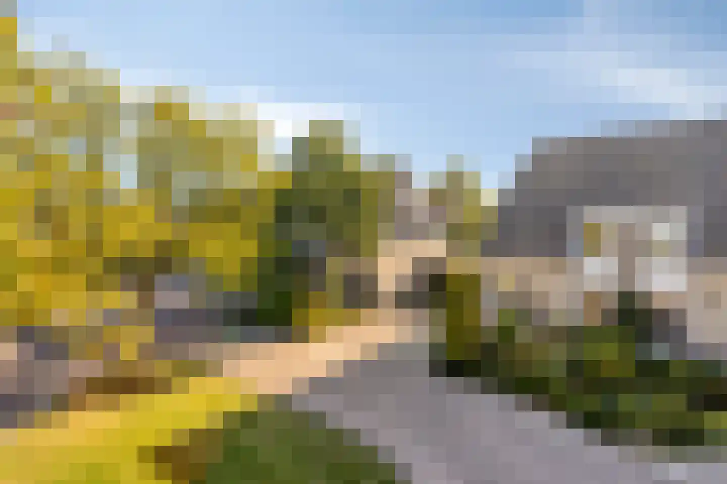 Chris Vermeulenhof 10 Kampen thumbnail 7