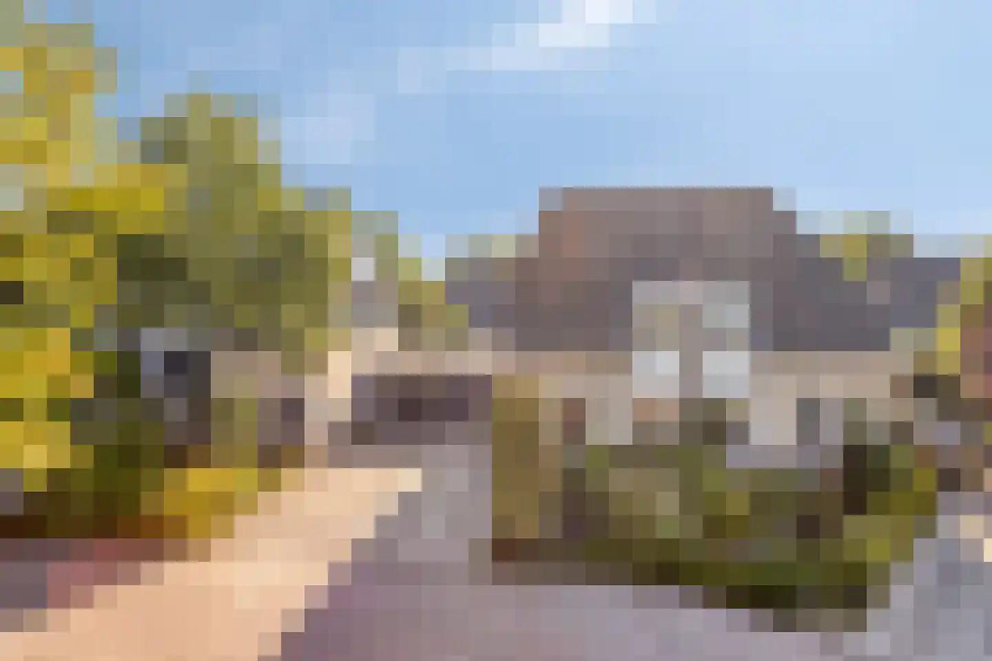 Chris Vermeulenhof 10 Kampen thumbnail 8
