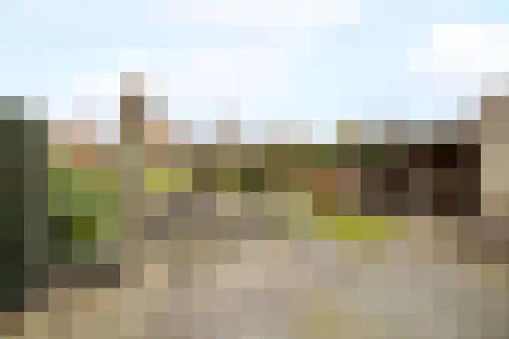 Chris Vermeulenhof 21 Kampen thumbnail 31