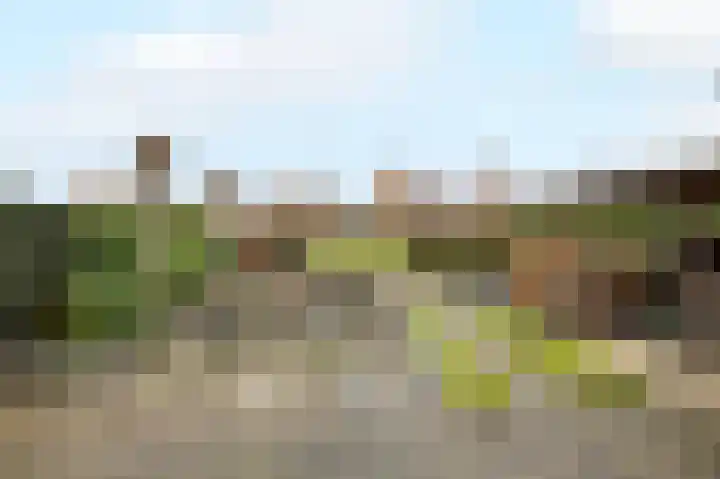 Chris Vermeulenhof 21 Kampen thumbnail 32