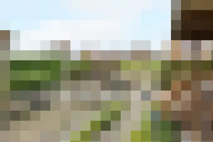 Chris Vermeulenhof 21 Kampen thumbnail 33
