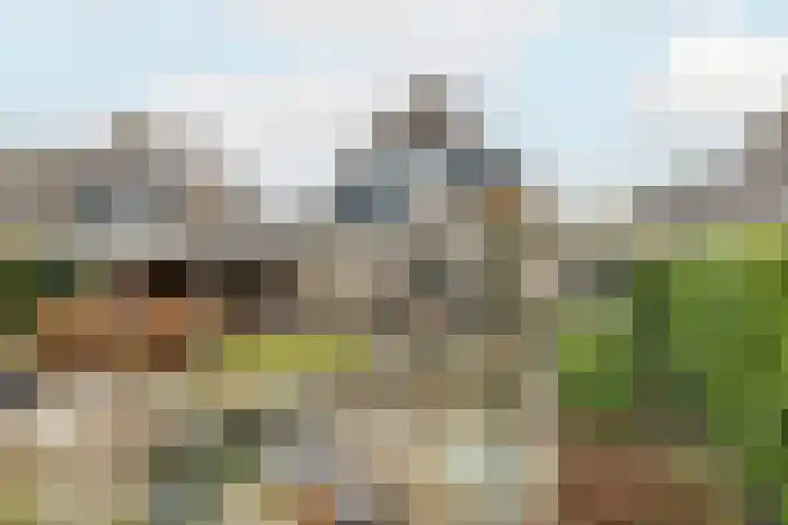 Chris Vermeulenhof 21 Kampen thumbnail 34