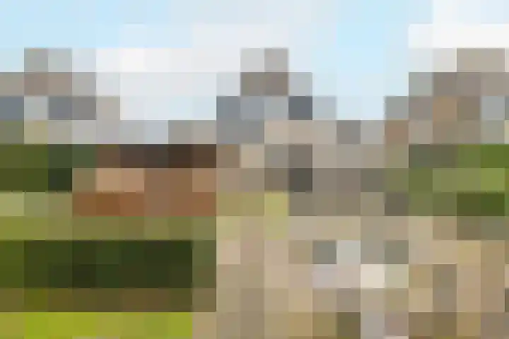 Chris Vermeulenhof 21 Kampen thumbnail 35