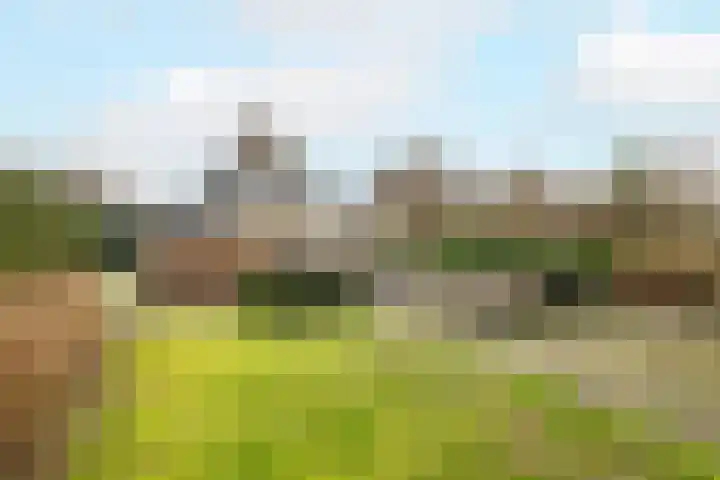 Chris Vermeulenhof 21 Kampen thumbnail 36