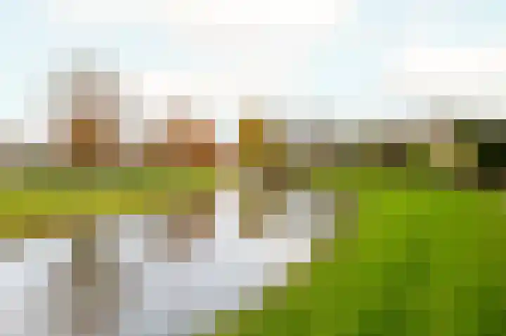 Chris Vermeulenhof 21 Kampen thumbnail 38