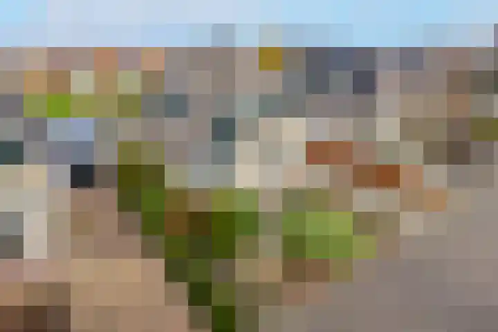 Chris Vermeulenhof 21 Kampen thumbnail 39