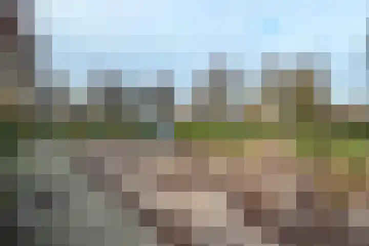 Chris Vermeulenhof 21 Kampen thumbnail 43