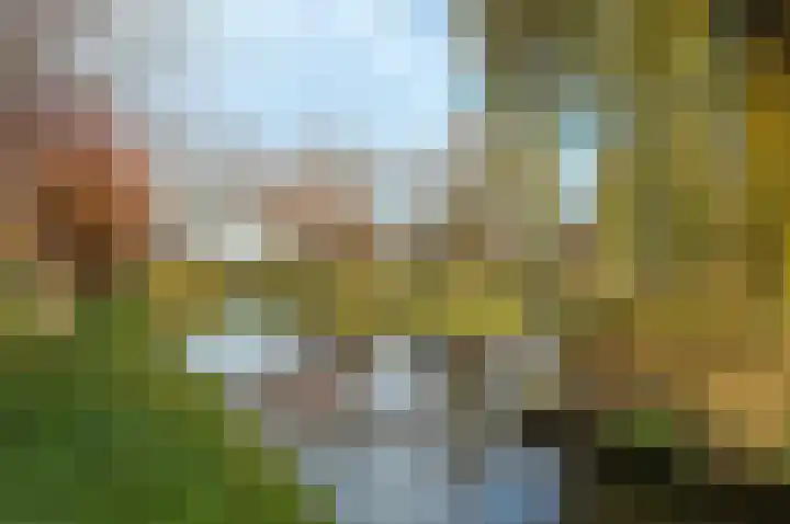 Chris Vermeulenhof 21 Kampen thumbnail 44