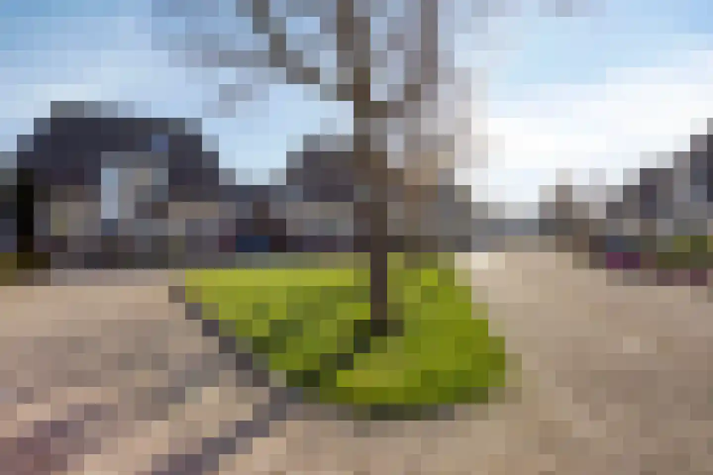 Chris Vermeulenhof 6 Kampen thumbnail 48