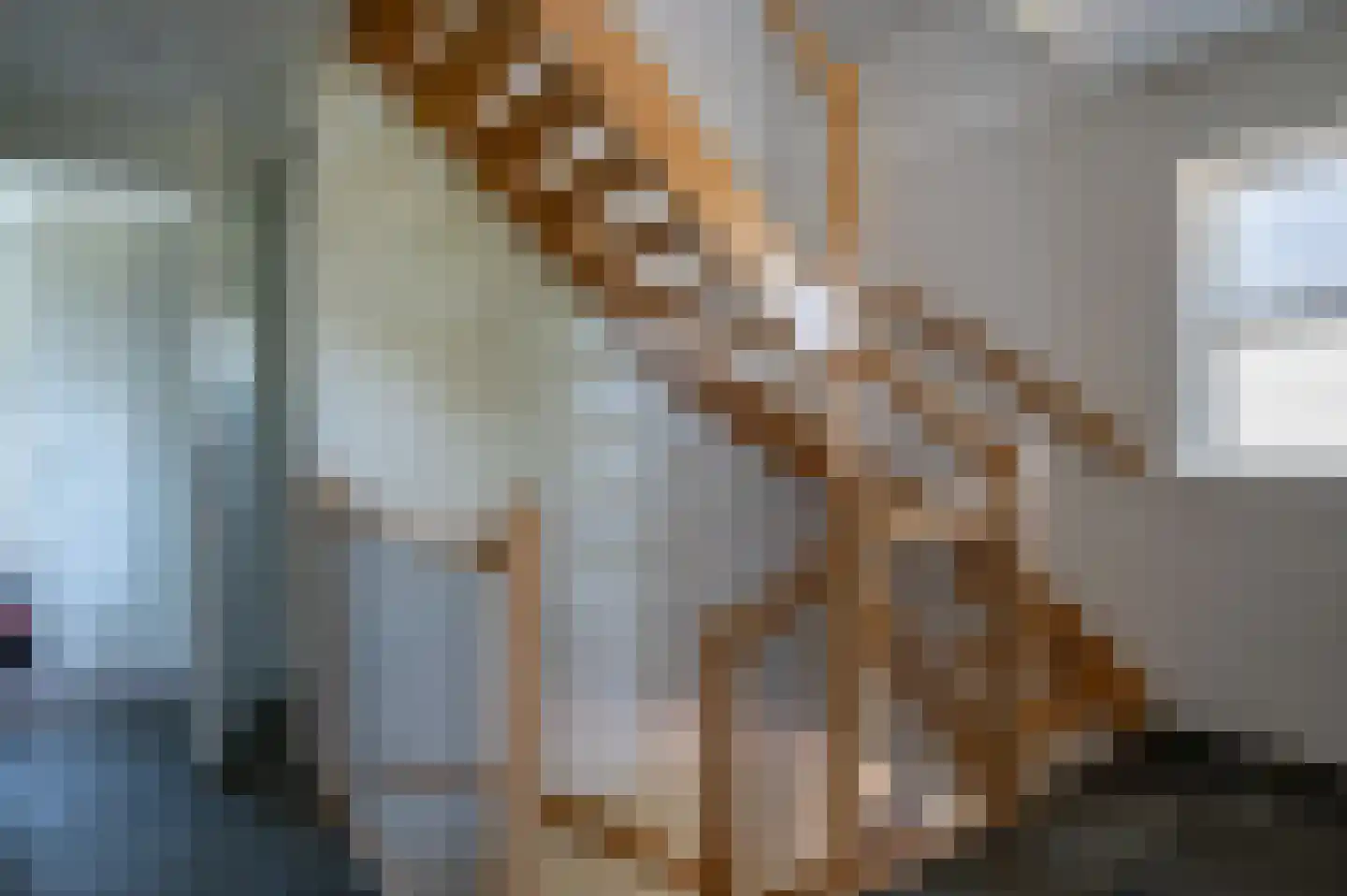 Christallerhage 5 Emmeloord thumbnail 21