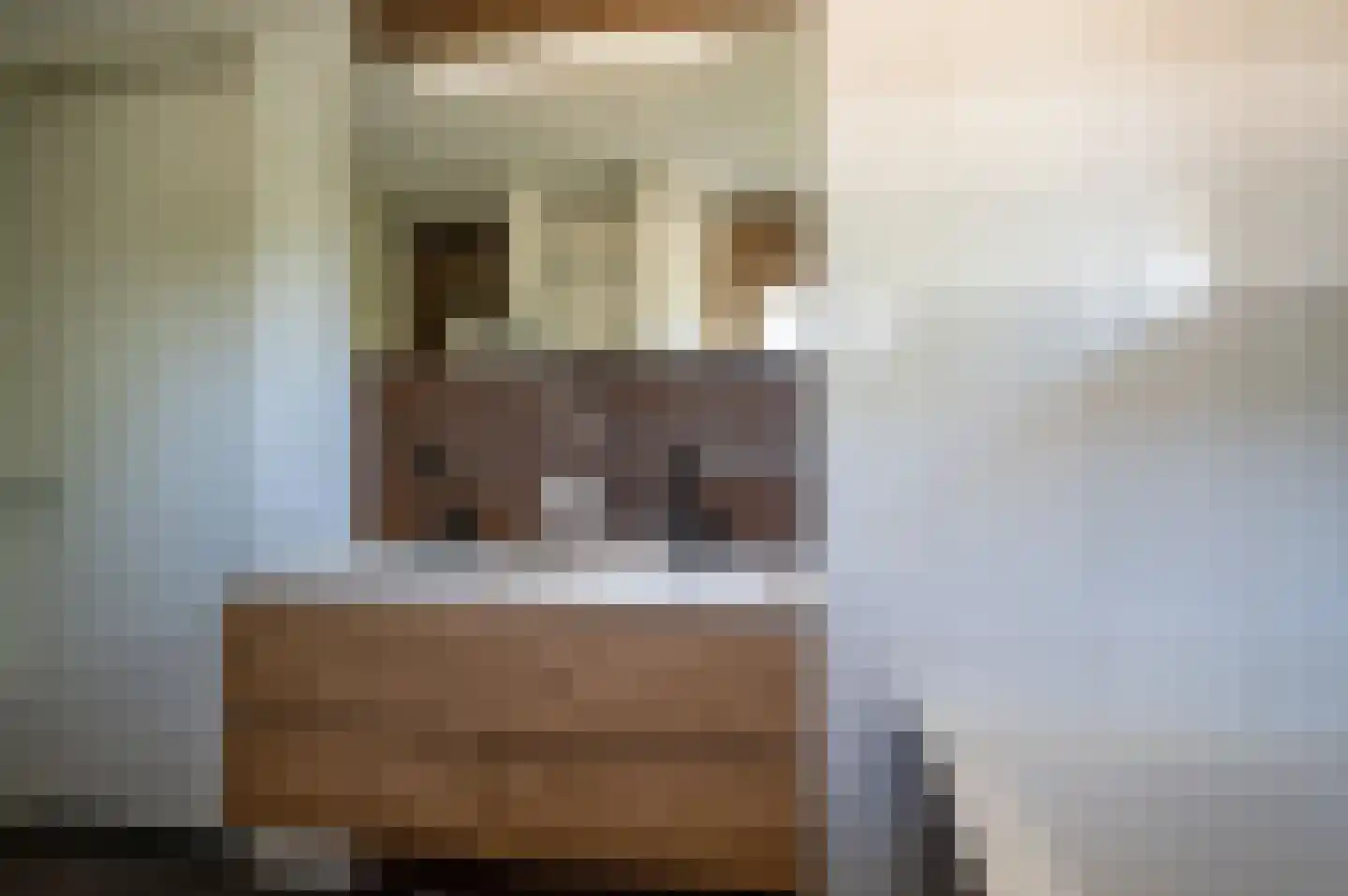 Christallerhage 5 Emmeloord thumbnail 23