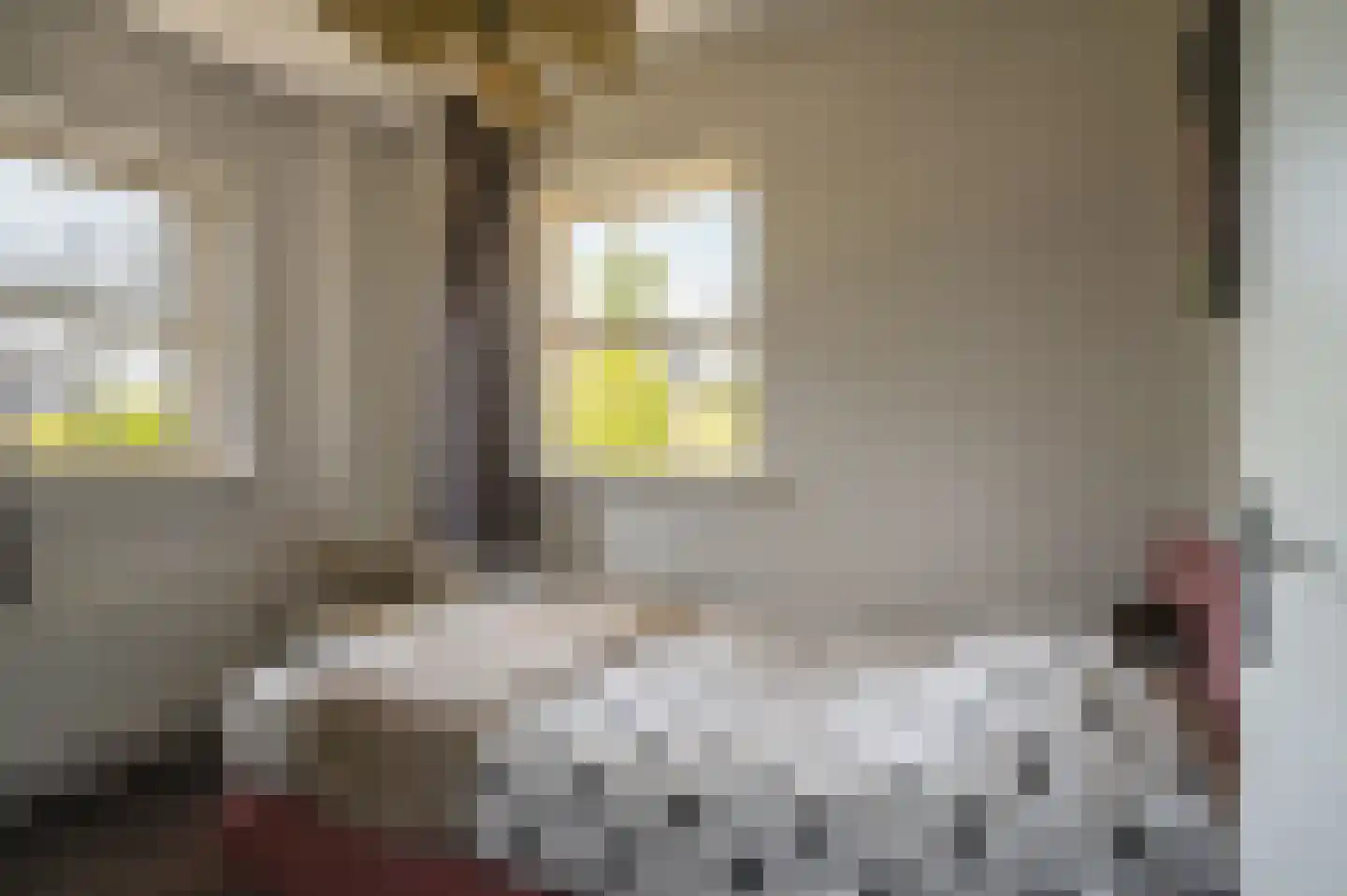 Christallerhage 5 Emmeloord thumbnail 24