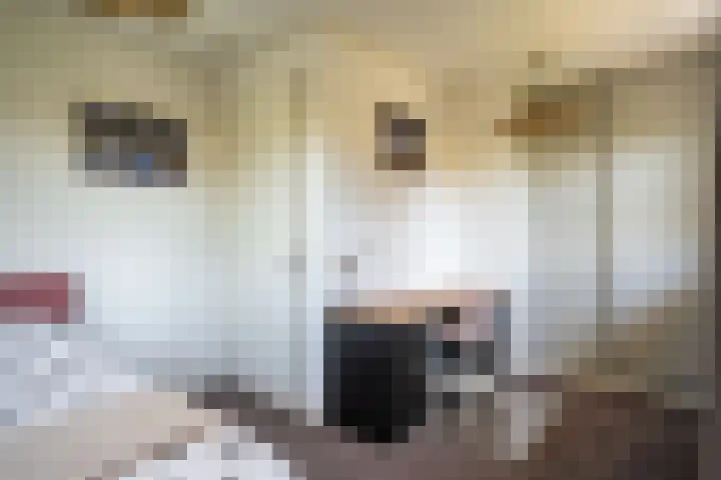 Christallerhage 5 Emmeloord thumbnail 25