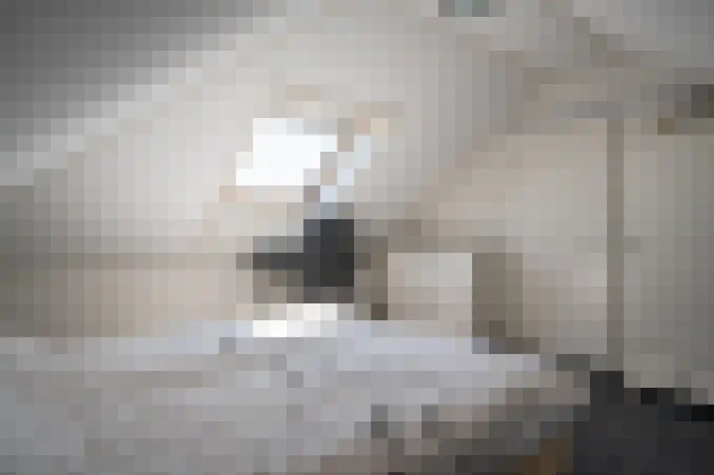 Christallerhage 5 Emmeloord thumbnail 35