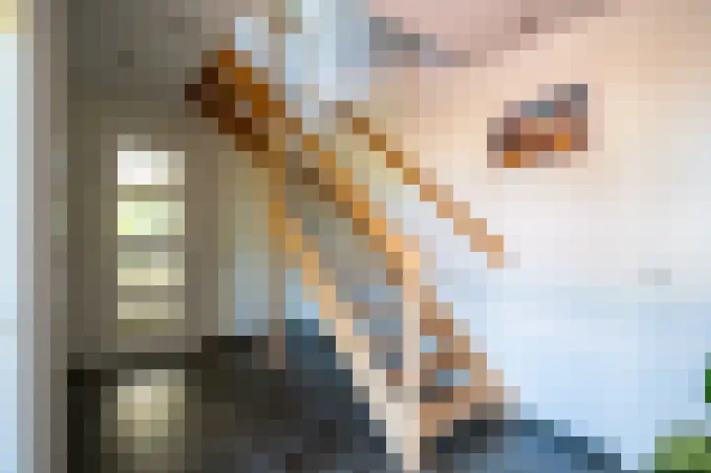 Christallerhage 5 Emmeloord thumbnail 7