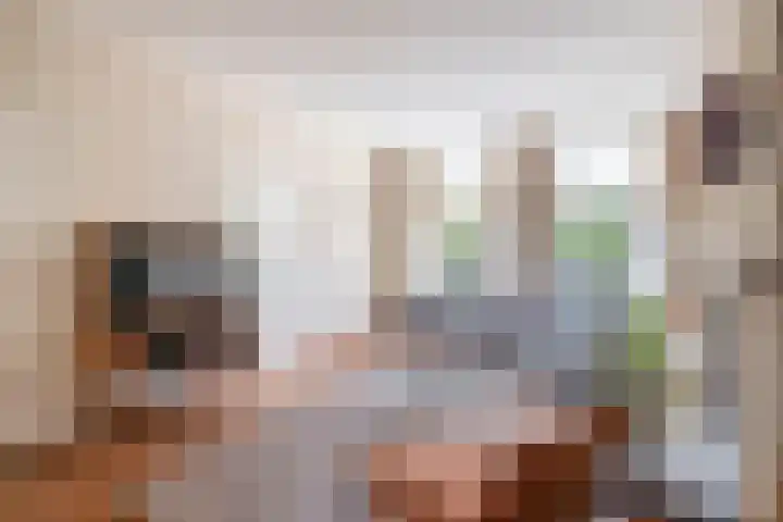 Christiaan de Vrieslaan 16 Middelharnis thumbnail 10