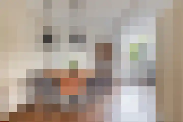 Christiaan de Vrieslaan 16 Middelharnis thumbnail 12
