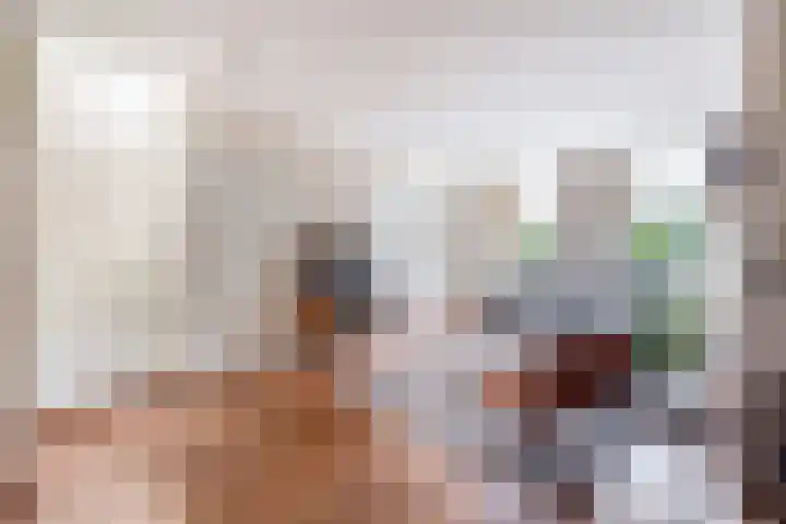 Christiaan de Vrieslaan 16 Middelharnis thumbnail 13