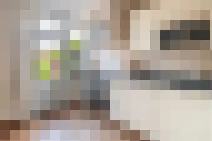 Christiaan de Vrieslaan 16 Middelharnis thumbnail 15