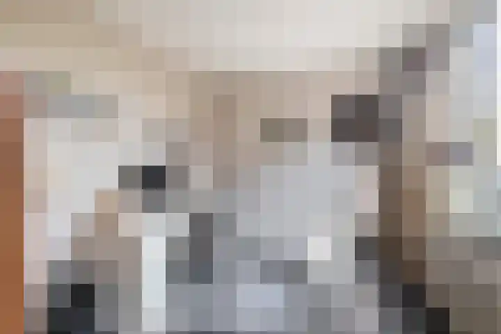 Christiaan de Vrieslaan 16 Middelharnis thumbnail 16